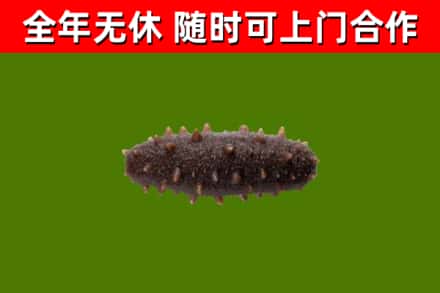 东辽烟酒回收干海参.jpg